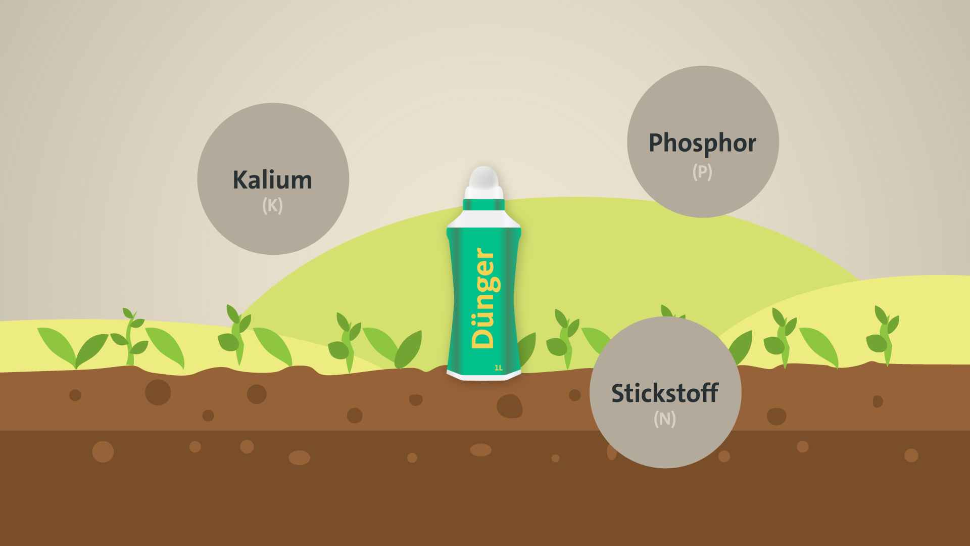 infographic still image